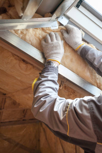 Best Insulation Repair Services  in Churchville, NY